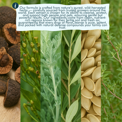 ParaCleanse