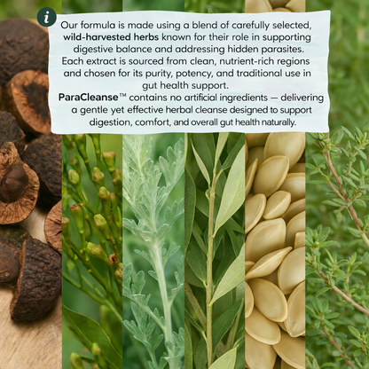 ParaCleanse