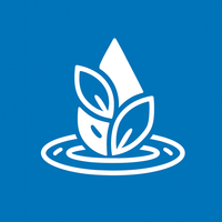 Natural & Plant-Based Formula